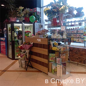 Цветы (в магазине «Санта»)