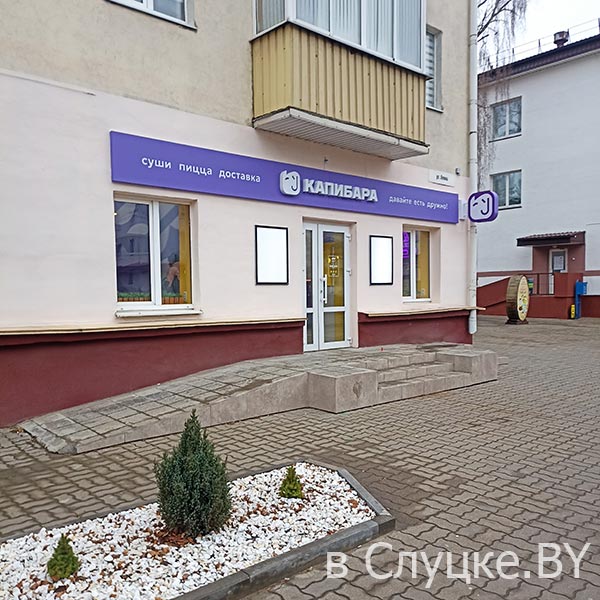 Капибара Слуцк